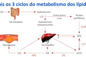 ALIMENTANDO1 (1)