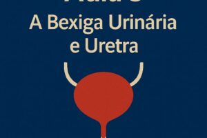 Aula 5