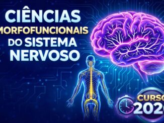 Curso de Ciências Morfofuncionais do Sistema Nervoso