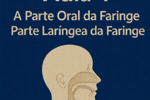 respiratorio4