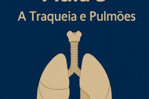 respiratorio5