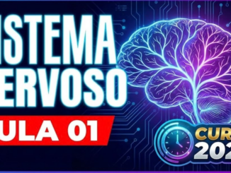 Aula 1 de Sistema nervoso
