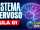 Aula 1 de Sistema nervoso