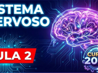 Sistema Nervoso Aula 2
