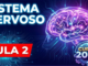 Sistema Nervoso Aula 2