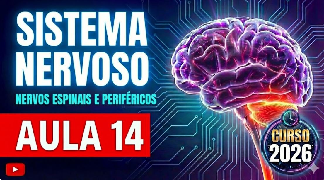 Aula 14 - Sistema Nervoso Espinal e periferico