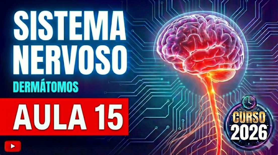 Aula Sistema Nervoso 15 - Dermatomos