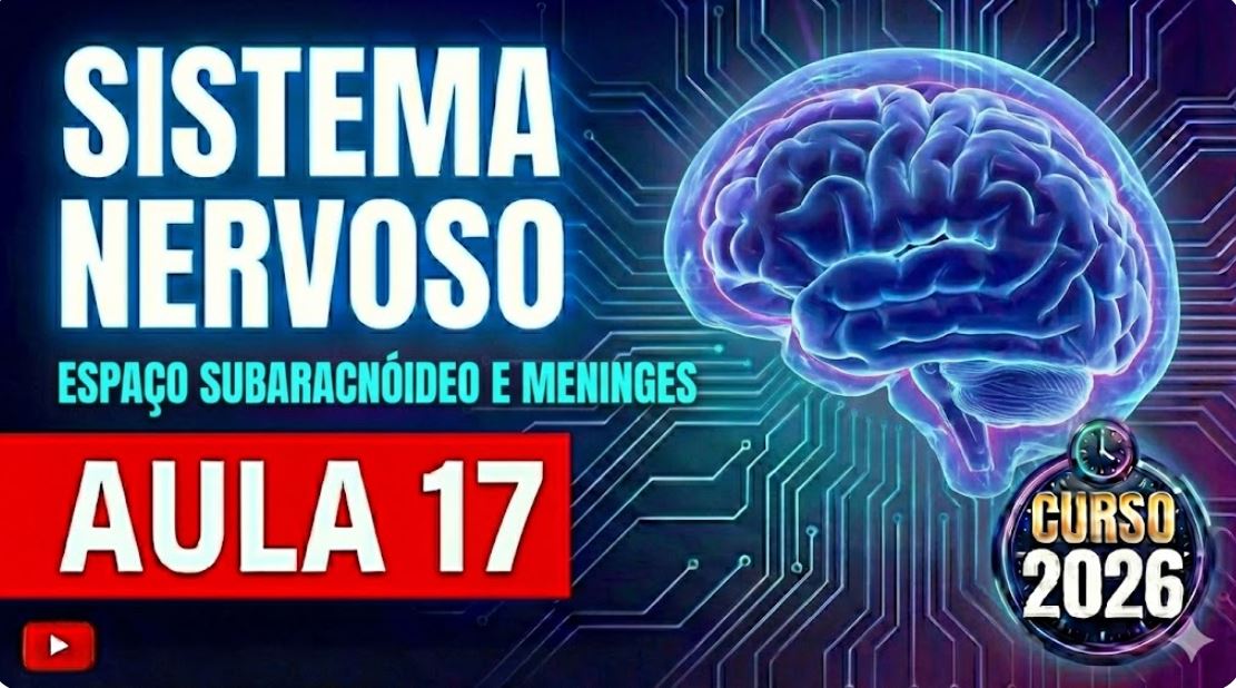 Meninges e espacosubaracnoide