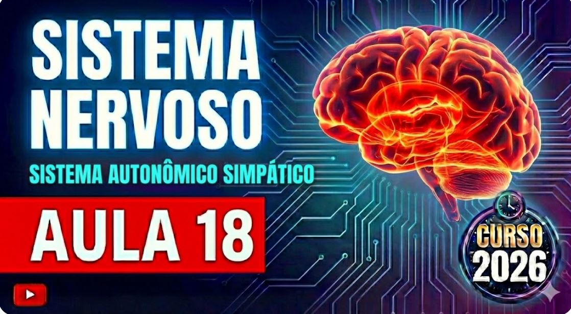 Sistema Simpatico