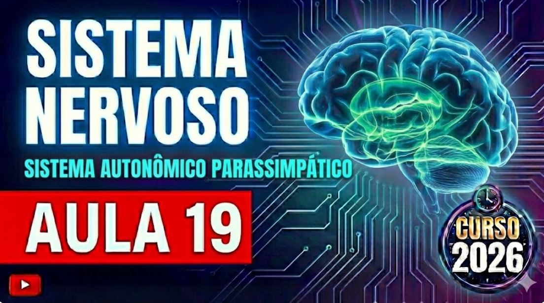 Sistema Nervoso Parassimpático