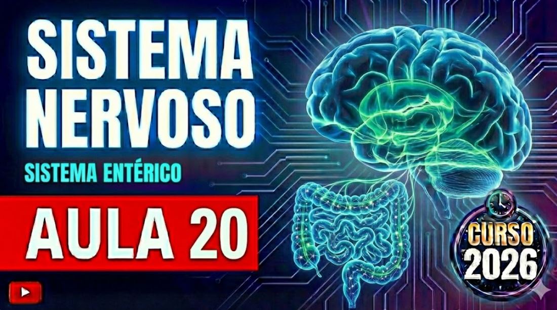 Sistema Nervoso Enterico