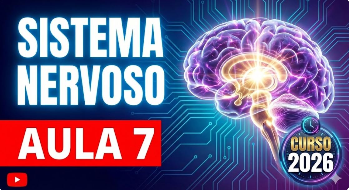 Aula Sistema Nervoso 7