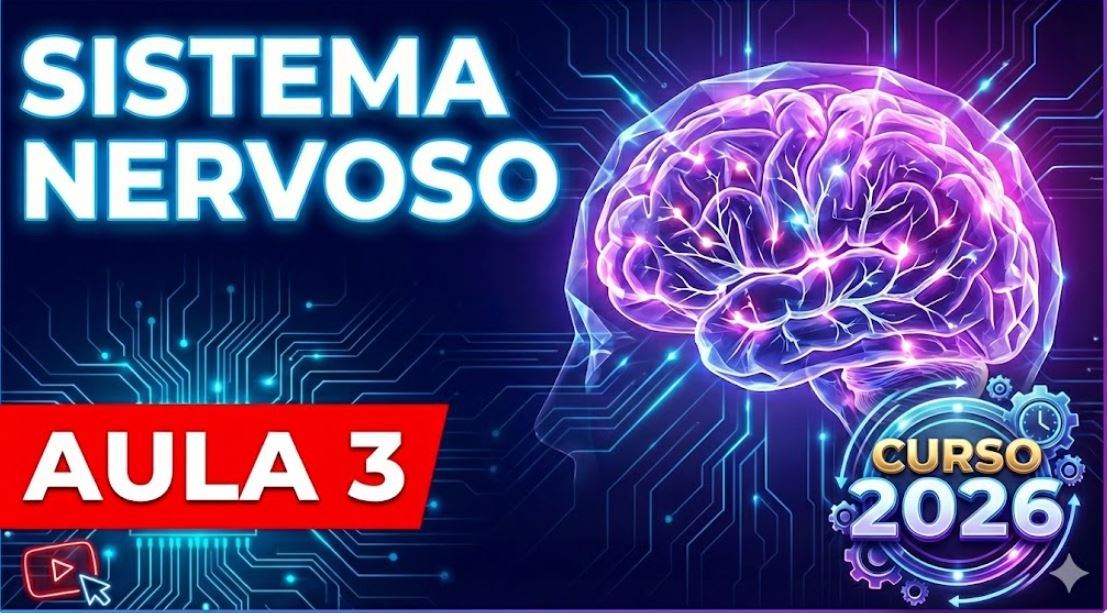 Aulas de Sistema Nervoso 03
