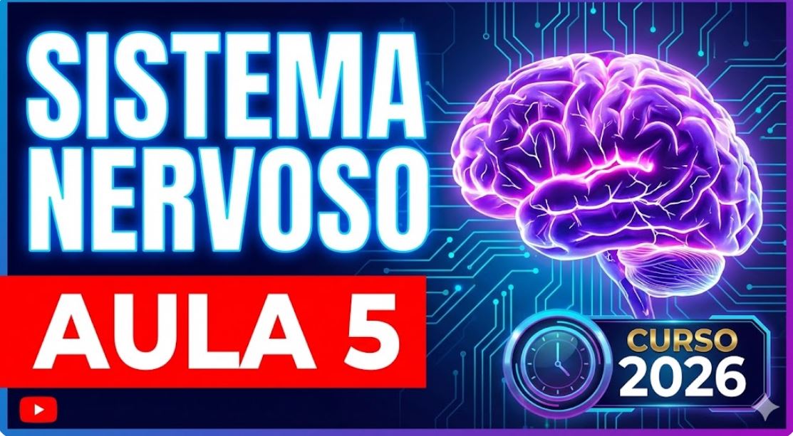 Sistema nervoso Aula 5