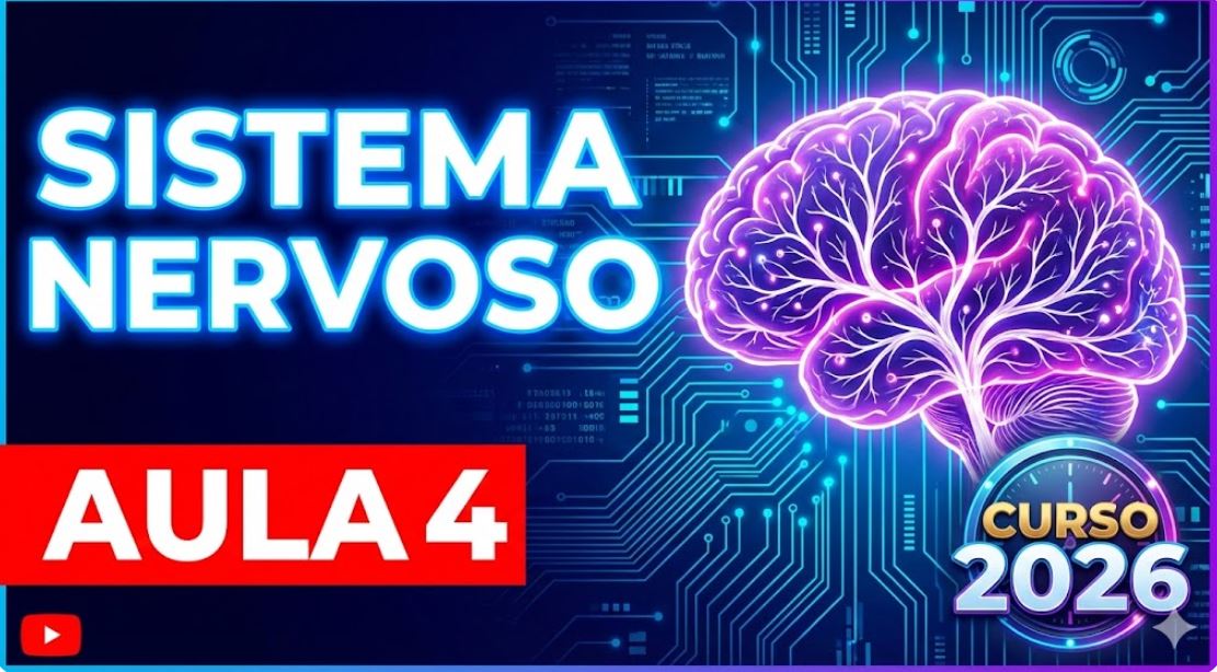 Aula de Sistema Nervoso 4